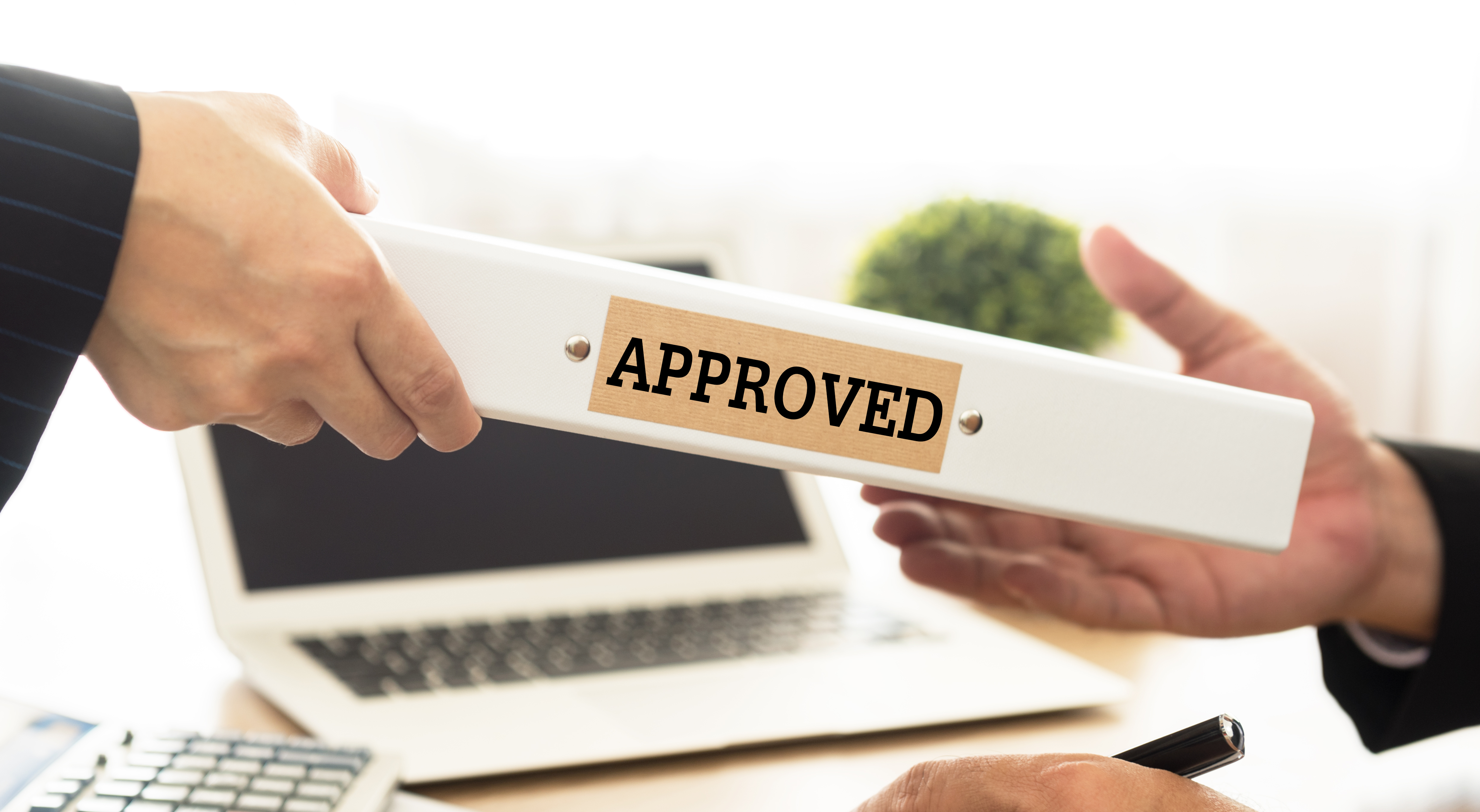 project approval, program approval, business initiative approval