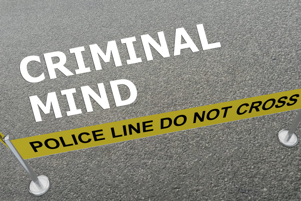 criminal minds, understanding criminals, criminal psychology, motivations of criminals, criminals motives