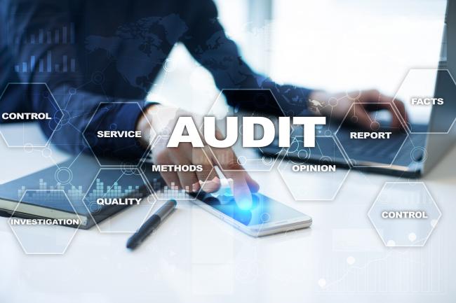 IT audits, IT outsources, IT disaster preparation