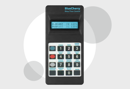 terminal de BlueCherry